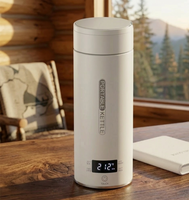 PureSteam Digital Kettle